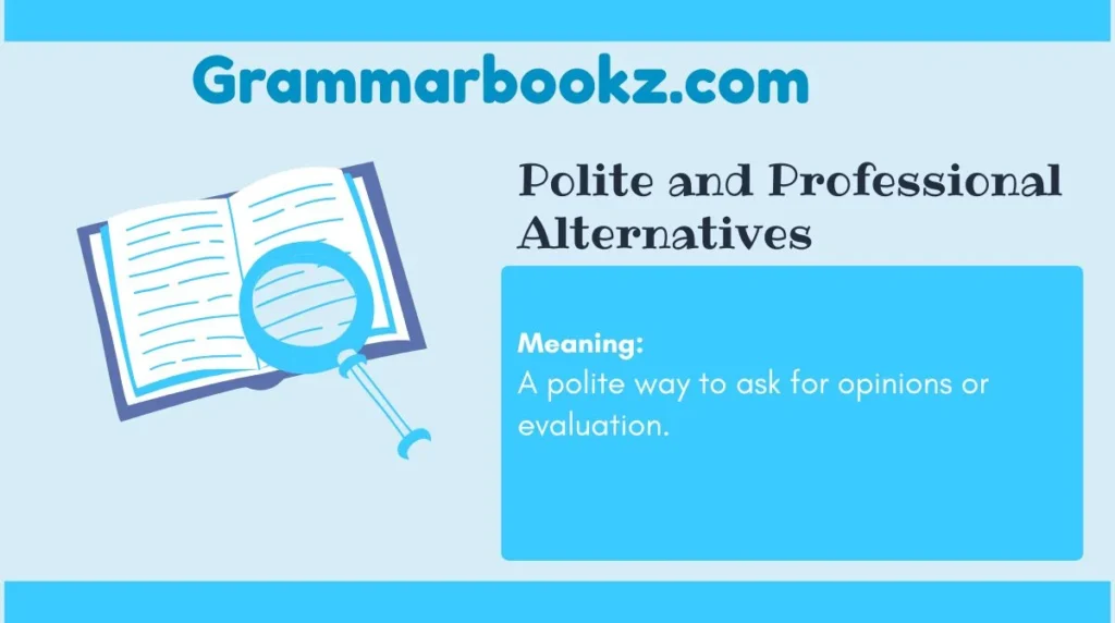 Polite and Professional Alternatives