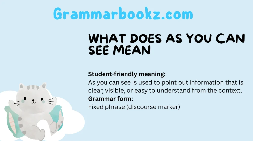 What Does As You Can See Mean