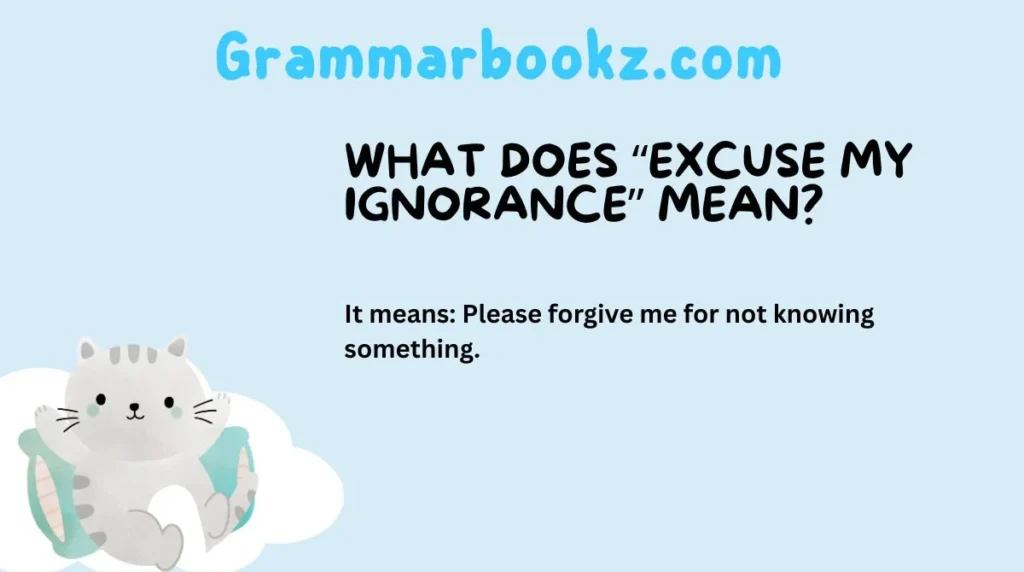 What Does “Excuse My Ignorance” Mean?